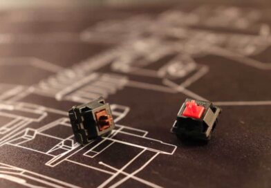 Red vs brown switches