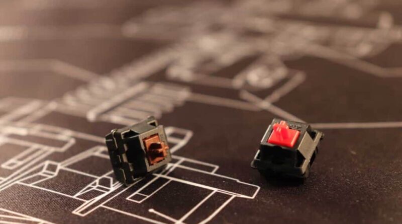 Red vs brown switches