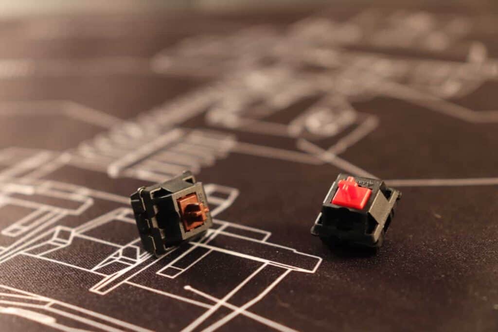 Red vs brown switches